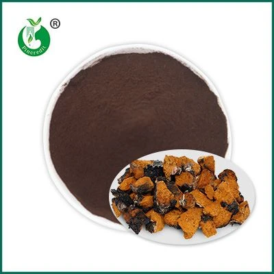 Serbuk Ekstrak Chaga