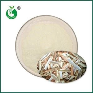 Serbuk Chitosan semulajadi