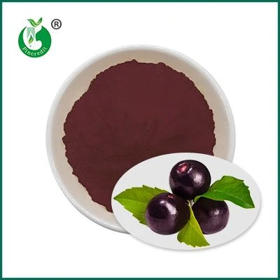 Serbuk Jus Acai Berry