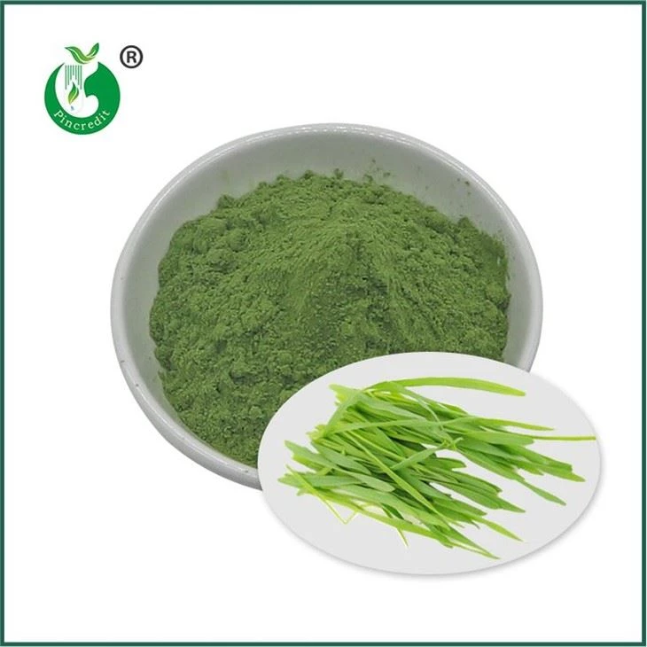 Serbuk Jus Rumput Barli