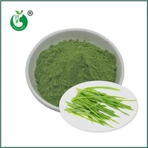 Serbuk Jus Rumput Barli