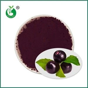 Serbuk Acai Tulen