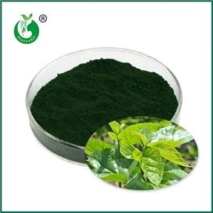 Apakah Sodium Copper Chlorophyllin? Untuk Apa Ia Digunakan?
