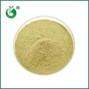 Adakah Vitamin K2 dan MK7 Sama?