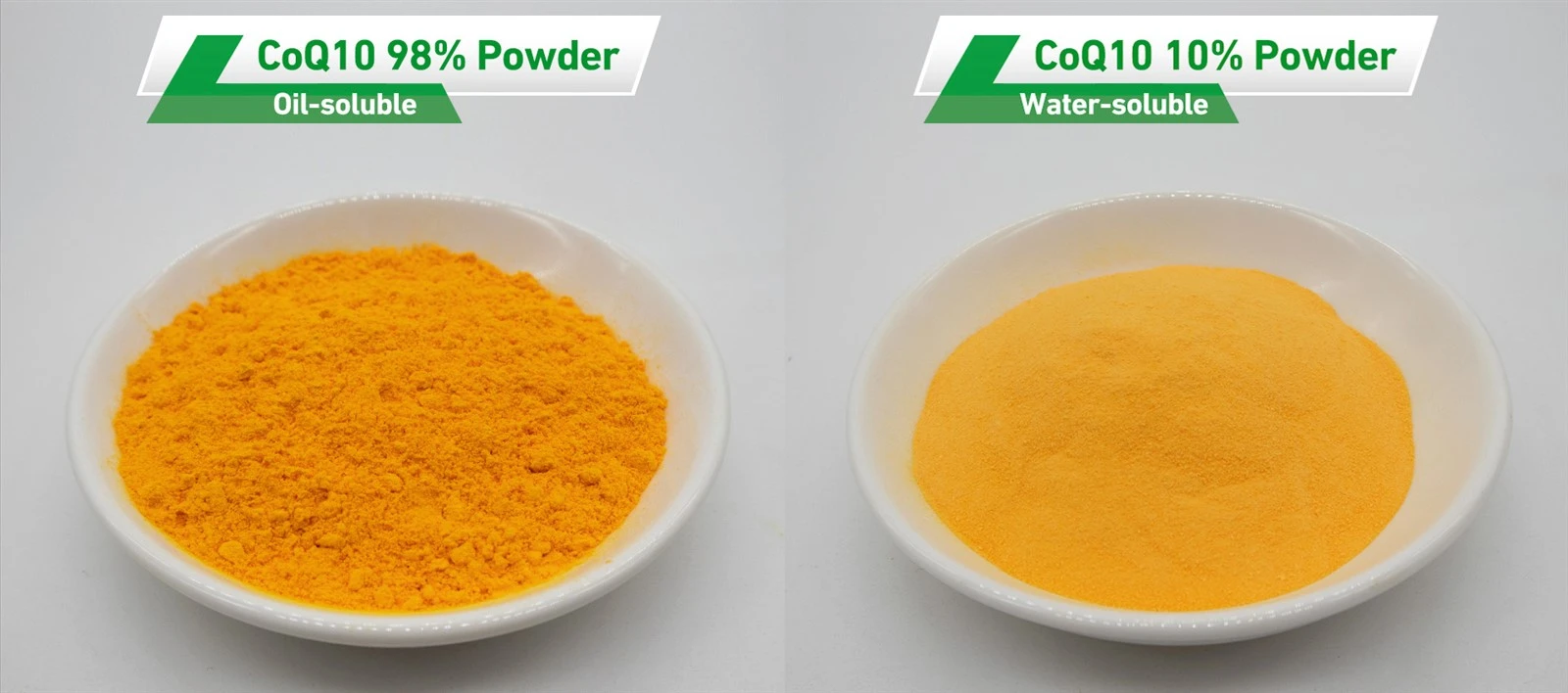 Coenzyme Q10