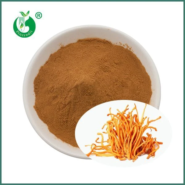 Serbuk Ekstrak Cordyceps Militaris