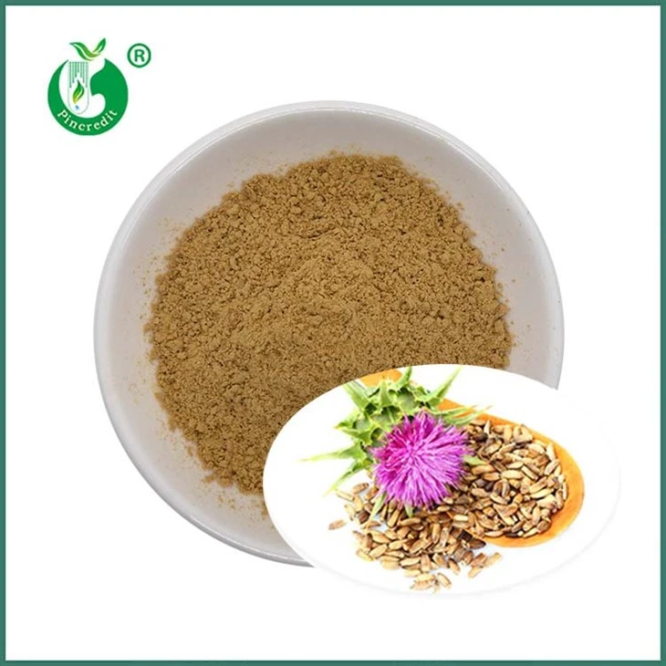 Ekstrak Biji Milk Thistle Silymarin Silybins