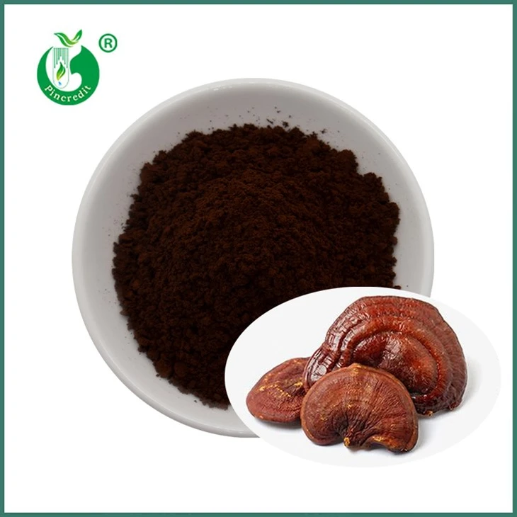Serbuk Sudu Reishi