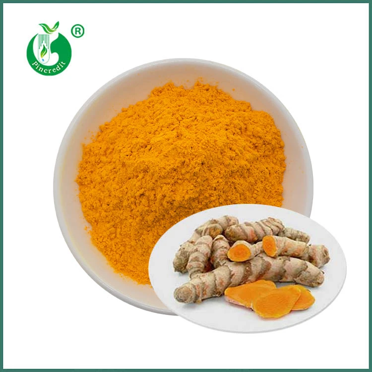 Serbuk Ekstrak Curcumin