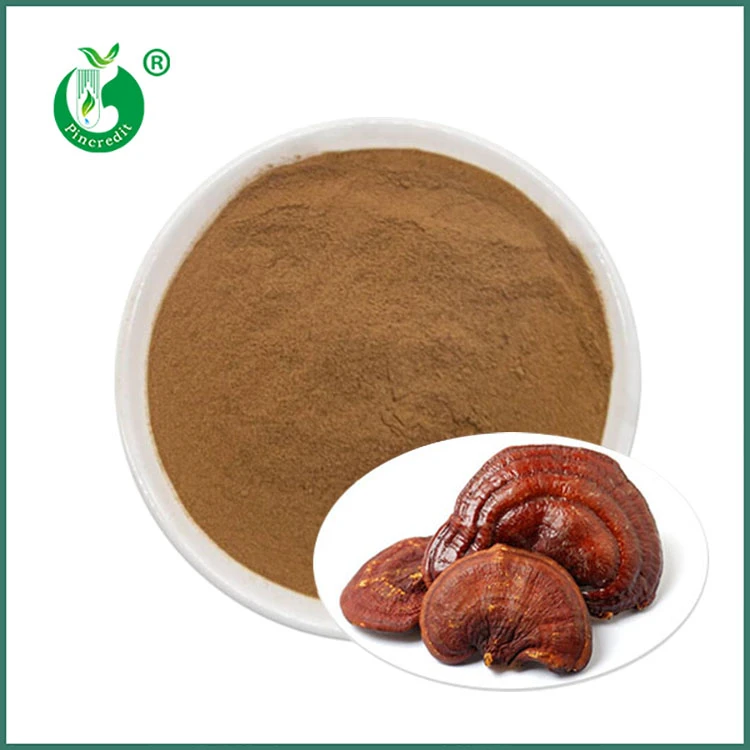 Serbuk Ekstrak Reishi